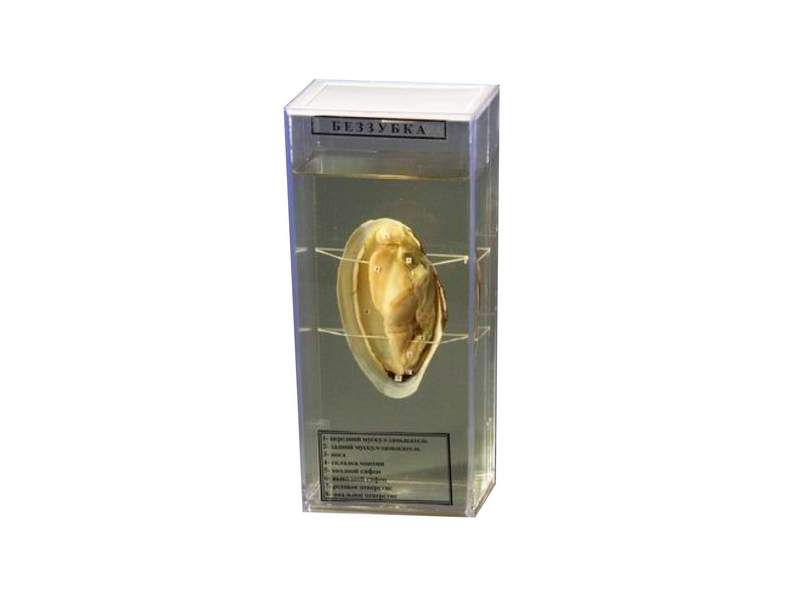 item_1963