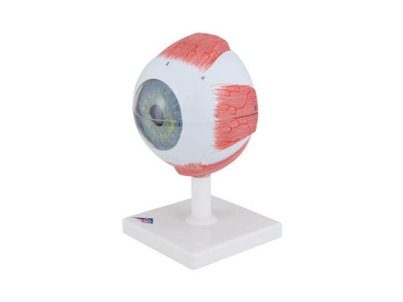 item_1882