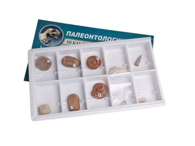item_1800