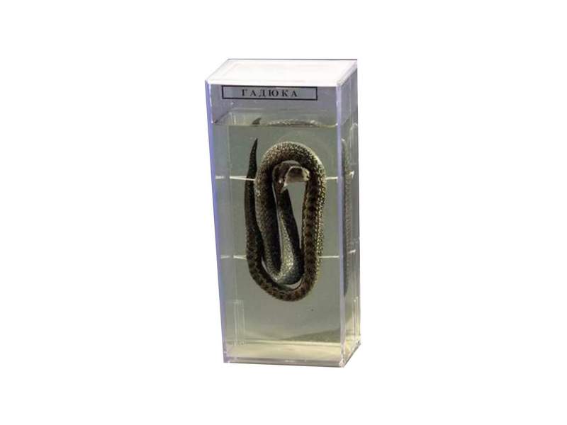 item_1974