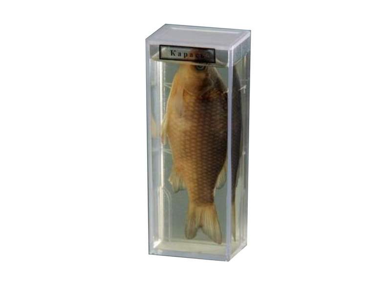 item_1973