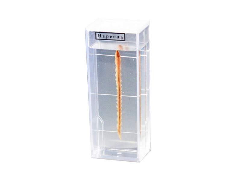 item_1972