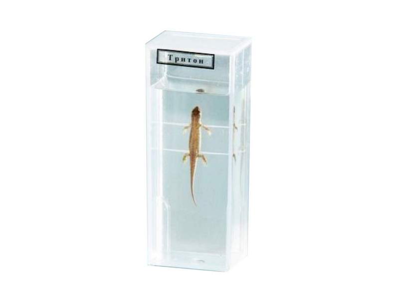item_1967